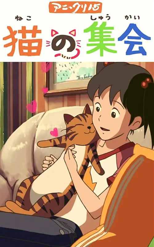 夫妻开车
